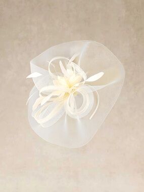 Fascinator Hat - Wavy Brim
Mesh Fascinator feather quill headband